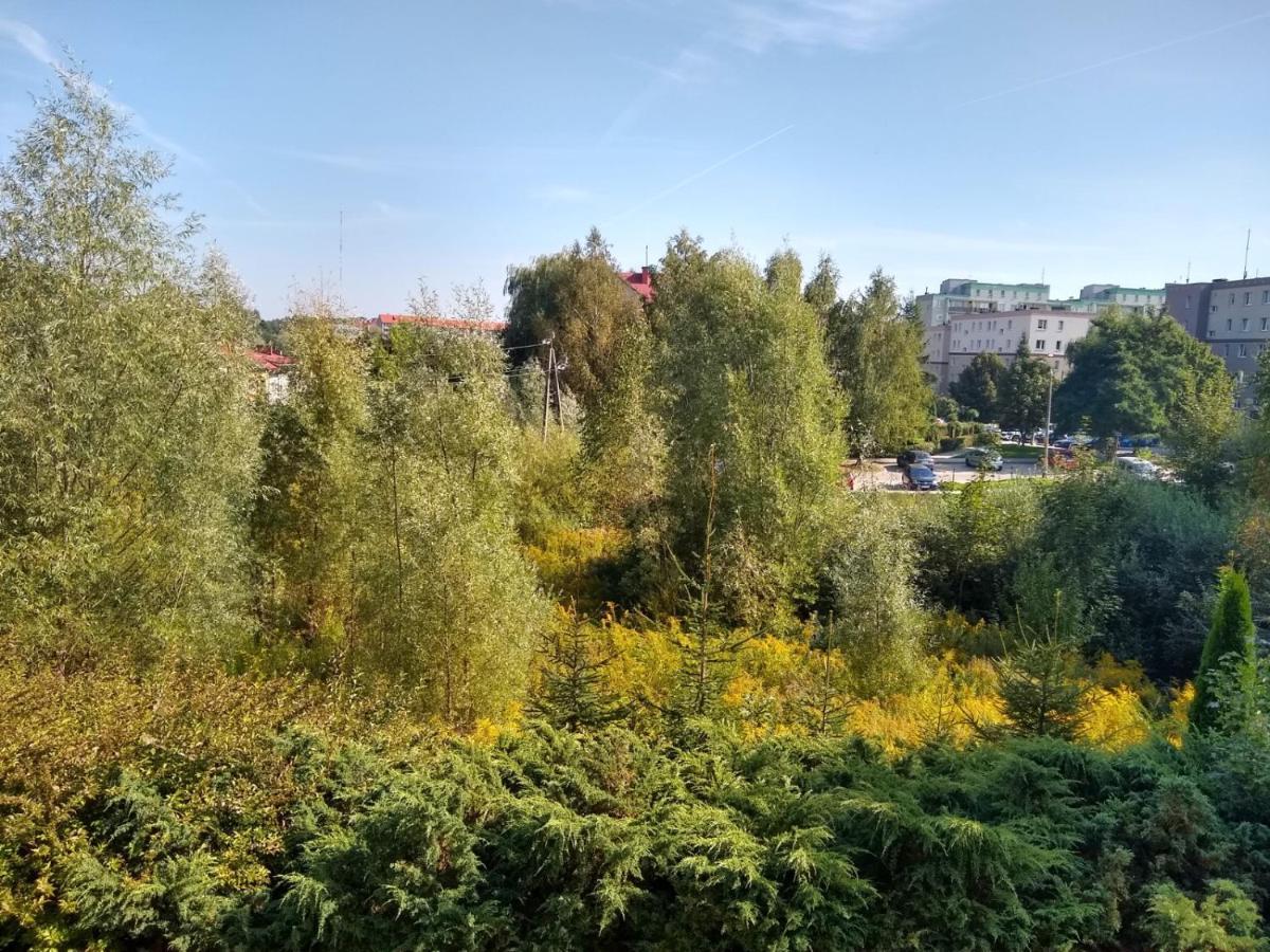 Green Apartment Z Bezplatnym Parkingiem أولشتين المظهر الخارجي الصورة