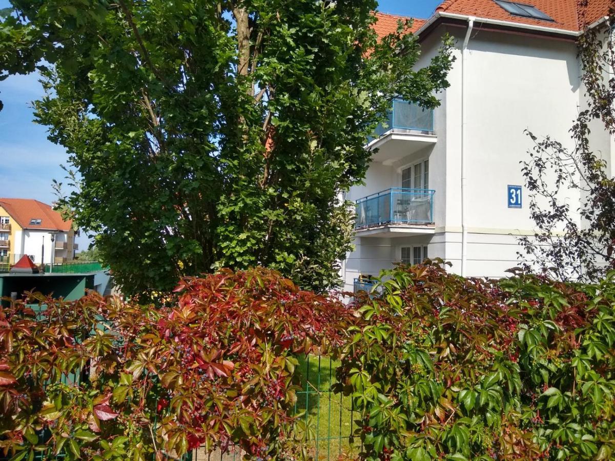 Green Apartment Z Bezplatnym Parkingiem أولشتين المظهر الخارجي الصورة